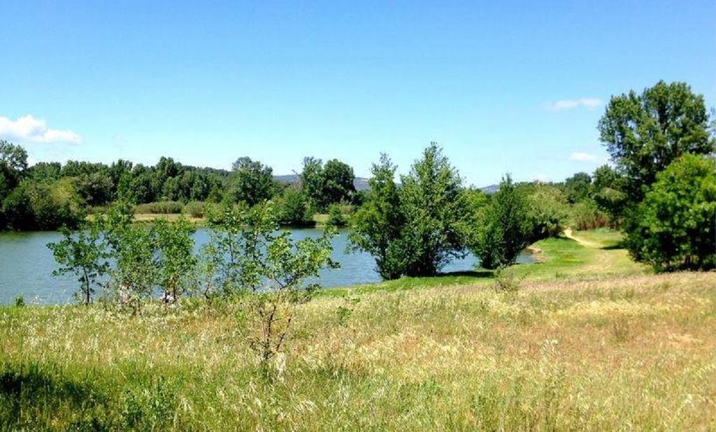 camping le Fief d'Anduze Extérieur photo